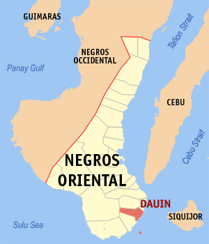 Mapa sa Negros Oriental nga nagapakita kon asa ang Dauin