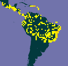 Mapa de distribuição de Inga laurina obtido através do site GBIF (Global Biodiversity Information Facility).