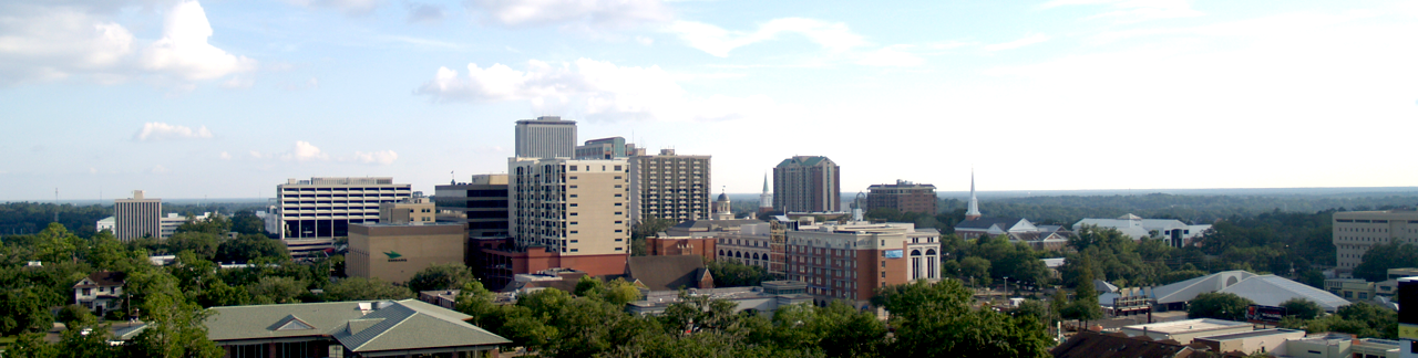 Skyline van Tallahassee