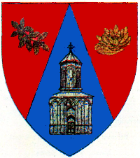 Actual Ilfov county CoA.png