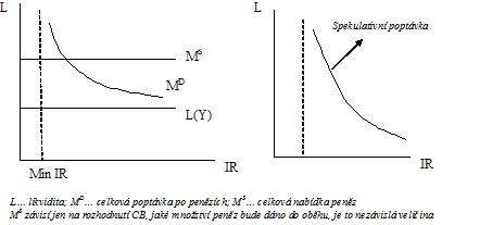 Teorie preference likvidity