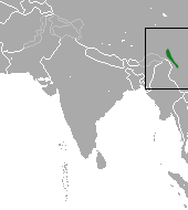 Distribución del langur negro de nariz chata