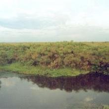 Lake Nakuwa located in Pallisa district