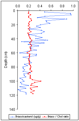 The concentration of brassicasterol down a sediment core from Loch Striven, Scotland together with it ratio to cholesterol