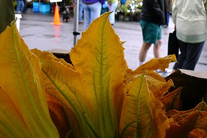 Fleurs de courgette.