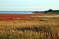 Land reclamation in Germany