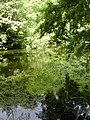 Image 18 Credit: O1ive Brockhill Country Park is dominated by a large grassy valley, bisected by the Brockhill Stream as it makes its way to the Royal Military Canal at Hythe. More about Brockhill Country Park... (from Portal:Kent/Selected pictures)