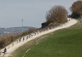 Strade Bianche 2014