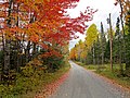 Otoño cerca del lago Maine