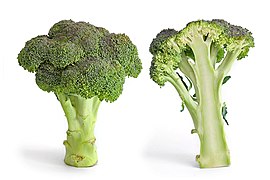 File:Broccoli and cross section edit.jpg (2010-04-17)