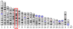 Thumbnail for Μ-opioid receptor