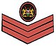 Administration Police Insignia