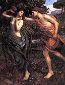 Apollo and Daphne by Waterhouse, 1908.