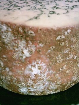 Stilton