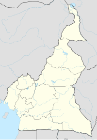 DLA di Cameroon