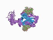 1ah1: CTLA-4, RMN, 20 estruturas