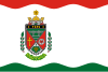 Flag of Mórichida