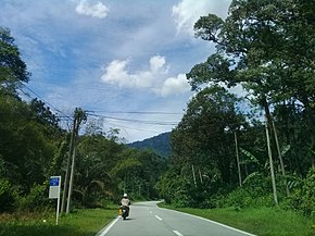 Jalan Tapah-Cameron Highlands 1.jpg