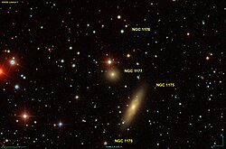 NGC 1177