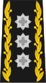 Commandant de corps (chef de l'Armée, des Forces terrestres ou des Forces aériennes) (cdt C)