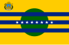 Flag of Bolívar