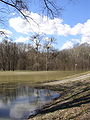 Frühjahrshochwasser im Nationalpark Donau-Auen