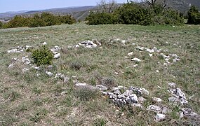 Ruines du temple du Combalou.