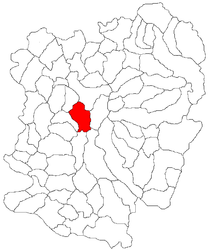 Location in Caraș-Severin County