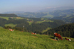 Vue sur l'Emmental.