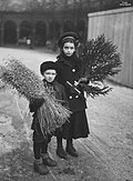 «Juleforberedelser», et søskenpar avbildet med julenek av havre og juletre ved Kirkeristen i Oslo 1905. Foto: Anders Beer Wilse / Oslo Museum