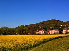 Rapsfeld und Mont St-Quentin.jpg