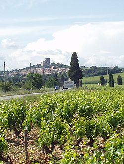 Châteauneuf-du-Pape: die dorp en sy wingerde