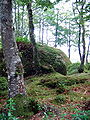 Rocher de granite dans la forêt d'Huelgoat.