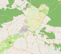 Localização de Radoszyce na Polónia