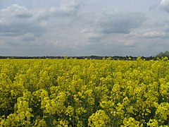 Vue générale depuis la route de Seboncourt.