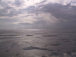 Waddenzee, Nizozemsko