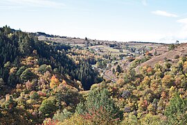 Forêt méditerranéenne en aval des Pyrénées catalanes.