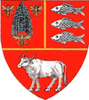 Coat of arms of Vaslui County