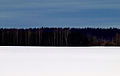 Una tradizionale interpretazione dell'origine della bandiera: il blu del cielo, il nero della taiga, il bianco della neve a terra.