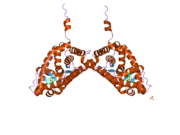 2ab2: Mineralocorticoid Receptor Double Mutant with Bound Spironolactone