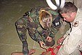 Image 15US Military Police officer restraining and sedating prisoner, while a soldier holds him down (from Political corruption)