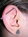 Piercing na orelha (Transversal/Industrial/Megabell)