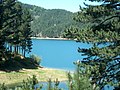 Lago Ampollino (Sila Piccola)