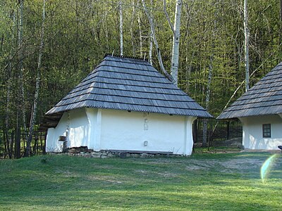 Комора з села Великий Кучурів Сторожинецького району Чернівецької області (Київ, Пирогів)