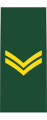 Corporal (French: Caporal) (Canadian Army)[35]