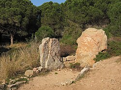 Image illustrative de l’article Dolmen de la Briande