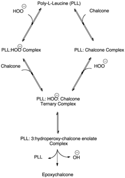 Ternary Complex Formation in the Juliá–Colonna Epoxidation