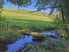 Der Antlenbach tritt aus dem Auwald in eine offfenes Wiesental