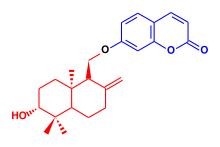 Formule topologique d'un composé aromatique bicyclique de type benzopyrane lié par pont éther-oxyde à une chaîne à quinze carbones bicyclique et hydroxylée.