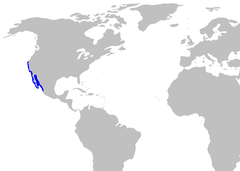 Área de distribuição do tubarão-cornudo